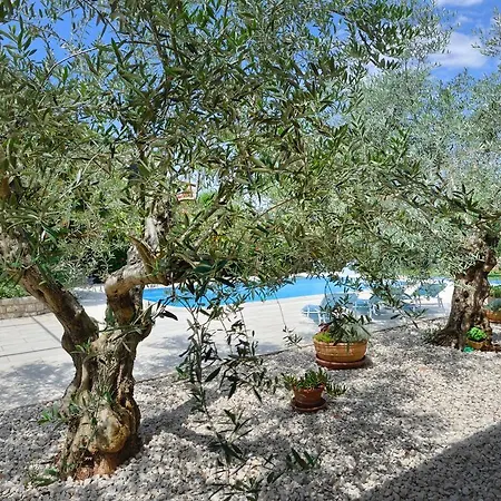 Modern In With Swimming Pool Apartament