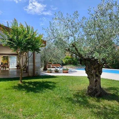 Modern In With Swimming Pool Appartement *