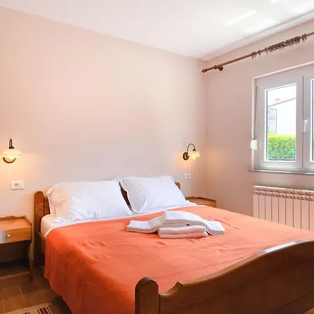 Modern In With Swimming Pool Poreč